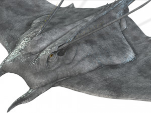 MANTA RAY - SEA MANTA RAY 3D 모델