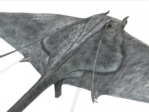 MANTA RAY - SEA MANTA RAY 3D 모델