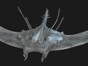 MANTA RAY - SEA MANTA RAY 3D 모델