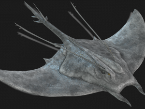 MANTA RAY - SEA MANTA RAY 3D 모델