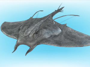 MANTA RAY - SEA MANTA RAY 3D 모델