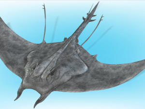 MANTA RAY - SEA MANTA RAY 3D 모델