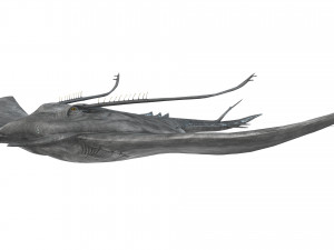 MANTA RAY - SEA MANTA RAY 3D 모델