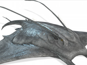 MANTA RAY - SEA MANTA RAY 3D 모델