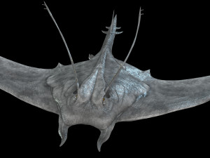 MANTA RAY - SEA MANTA RAY 3D 모델