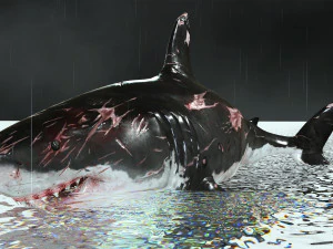 Shark Animated SHARK BIG Fish 3D Model