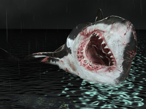 Shark Animated SHARK BIG Fish 3D 模型