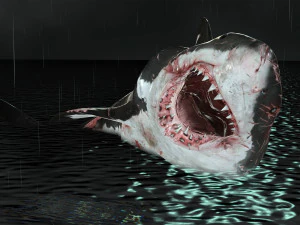 Shark Animated SHARK BIG Fish 3D Model