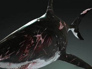 Shark Animated SHARK BIG Fish 3D 模型