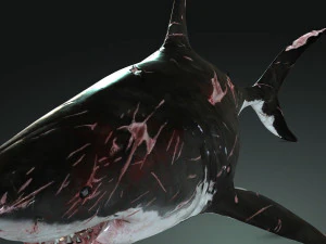 Shark Animated SHARK BIG Fish 3D Model