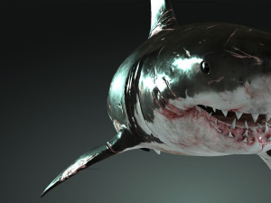 Shark Animated SHARK BIG Fish 3D 模型