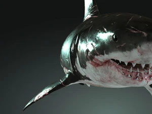 Shark Animated SHARK BIG Fish 3D Model