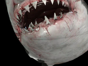 Shark Animated SHARK BIG Fish 3D Model
