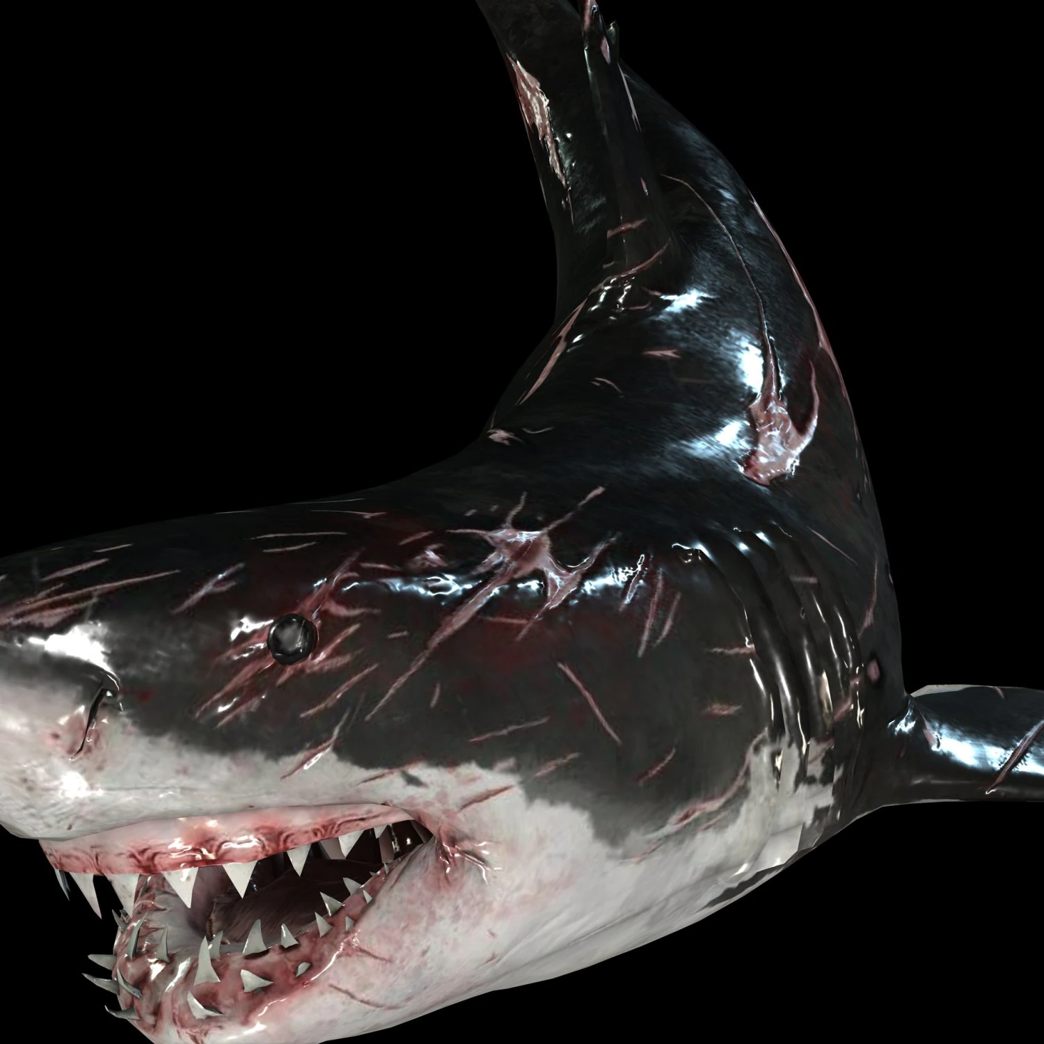 Shark Animated SHARK BIG Fish 3D Model .c4d .max .obj .3ds .fbx .stl .blend