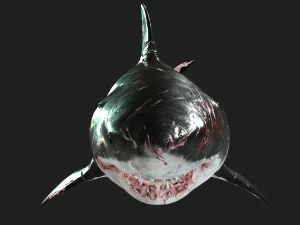Shark Animated SHARK BIG Fish 3D Model