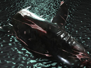Shark Animated SHARK BIG Fish 3D 模型
