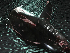 Shark Animated SHARK BIG Fish 3D Model