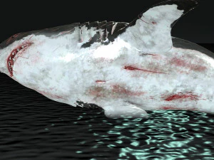 Shark Animated SHARK BIG Fish 3D Model