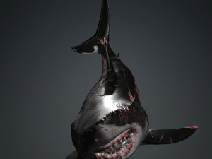 Shark Animated SHARK BIG Fish 3D 模型