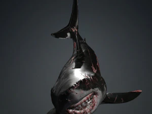 Shark Animated SHARK BIG Fish 3D Model