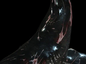 Shark Animated SHARK BIG Fish 3D Model