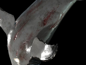 Shark Animated SHARK BIG Fish 3D 模型