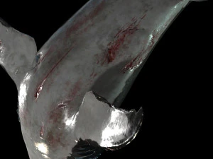 Shark Animated SHARK BIG Fish 3D Model