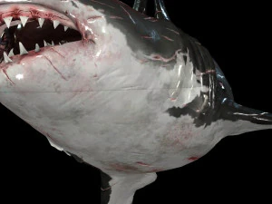 Shark Animated SHARK BIG Fish 3D Model