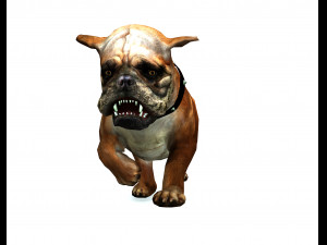 DOG BULLDOG 2 DOG 3D-Modell
