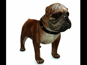 DOG BULLDOG 2 DOG 3D-Modell