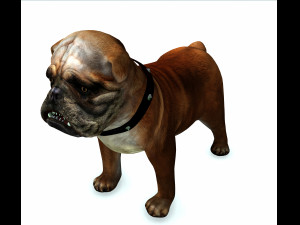 DOG BULLDOG 2 DOG 3D-Modell