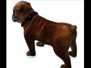 DOG BULLDOG 2 DOG 3D-Modell