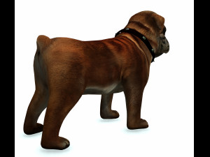 DOG BULLDOG 2 DOG 3D-Modell