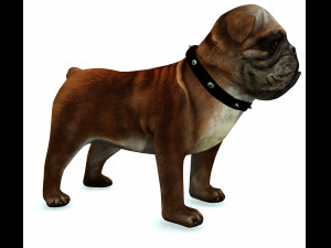 DOG BULLDOG 2 DOG 3D-Modell