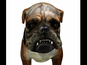 DOG BULLDOG 2 DOG 3D-Modell