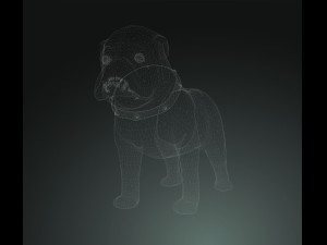 DOG BULLDOG 2 DOG 3D-Modell