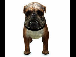 DOG BULLDOG 2 DOG 3D-Modell