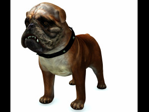 DOG BULLDOG 2 DOG 3D-Modell