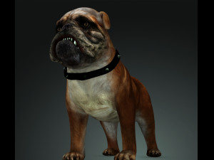 DOG BULLDOG 2 DOG 3D-Modell