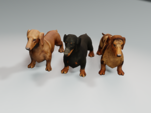DOG Dachshund 3 DOG Model 3D
