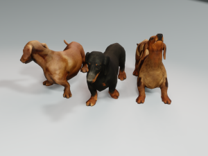 DOG Dachshund 3 DOG Model 3D