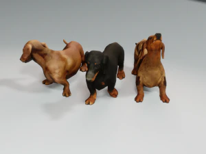 DOG Dachshund 3 DOG 3D Model