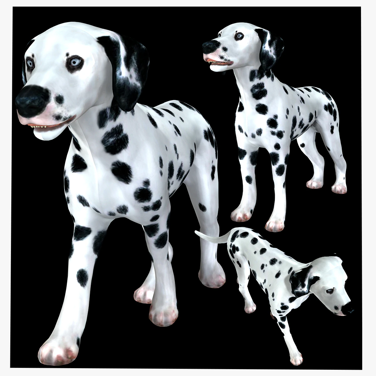 DOG Dalmatian CANINE Dog 3D Model .c4d .max .obj .3ds .fbx .stl .blend