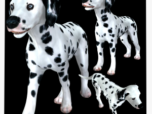 DOG Dalmatian CANINE Dog 3D Model