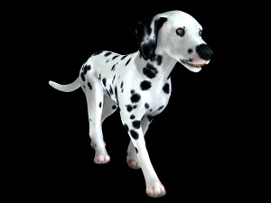 DOG Dalmatian CANINE Dog 3D 모델