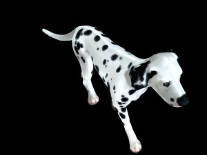 DOG Dalmatian CANINE Dog 3D 모델