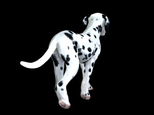 DOG Dalmatian CANINE Dog 3D 모델