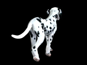 DOG Dalmatian CANINE Dog 3D Model