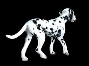 DOG Dalmatian CANINE Dog 3D 모델