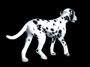 DOG Dalmatian CANINE Dog 3D Model